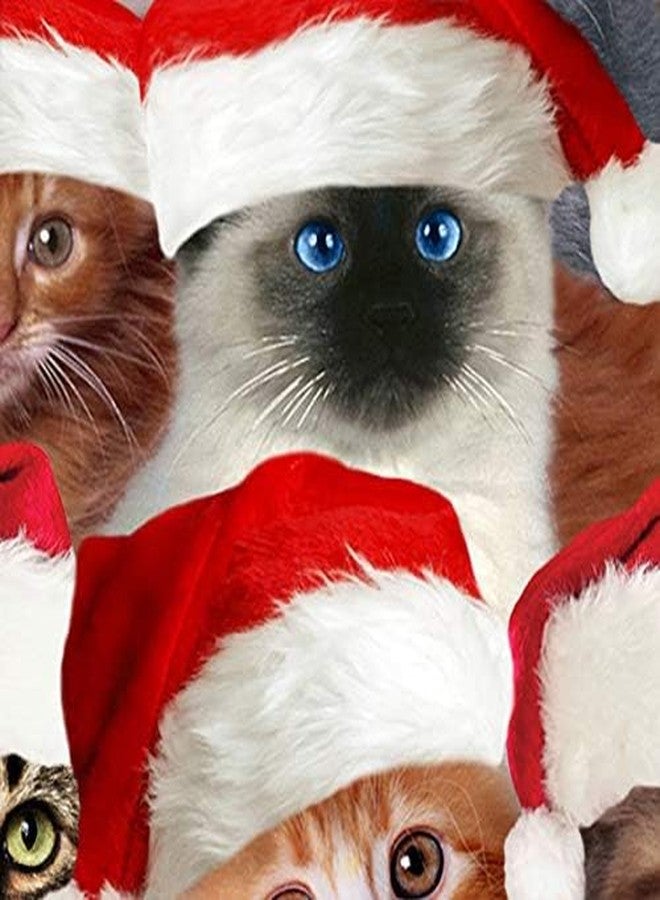 Three Rooker Cat Ties Mens Kitty Christmas Neckties Santa Cats - Image 3